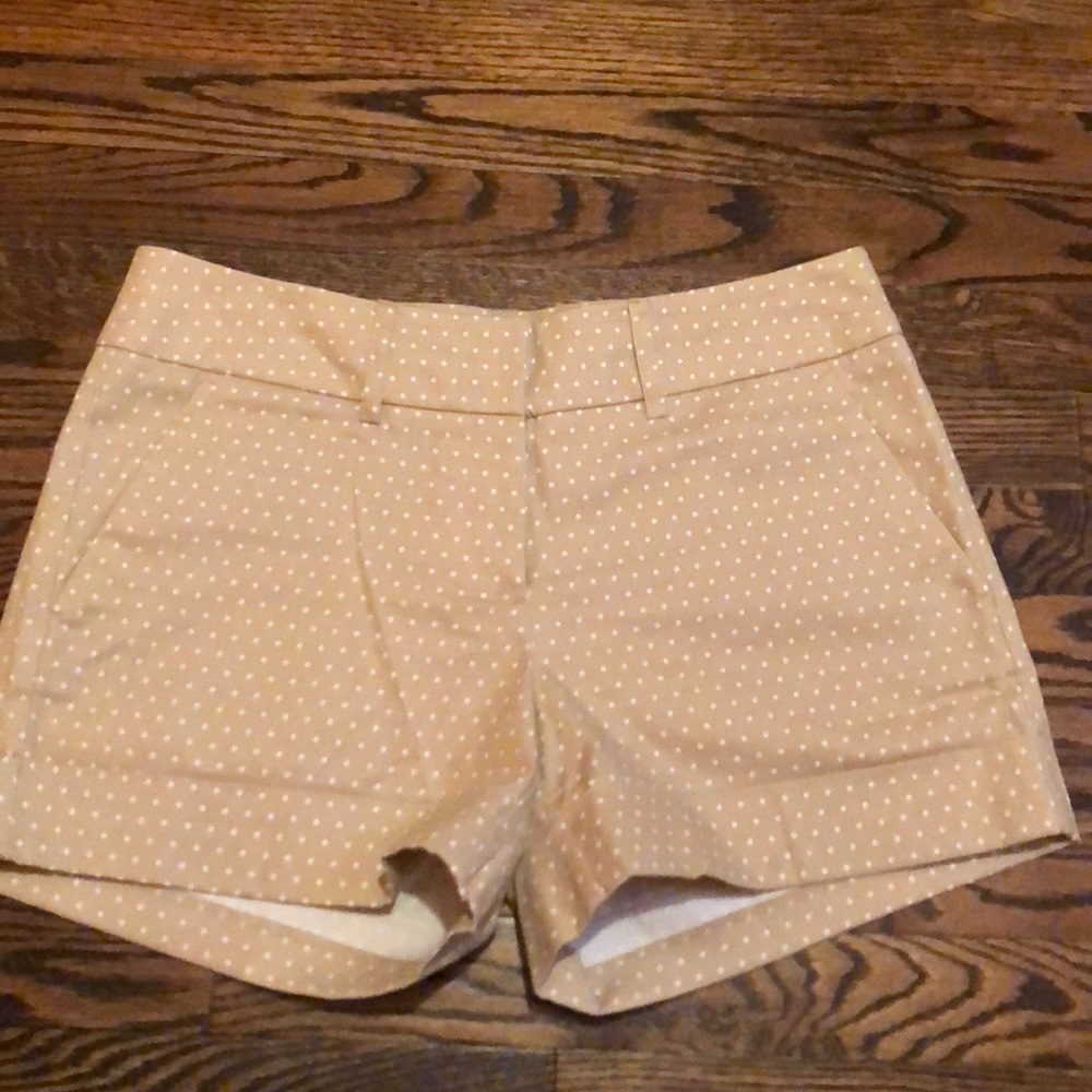 NWOT New York and Company shorts